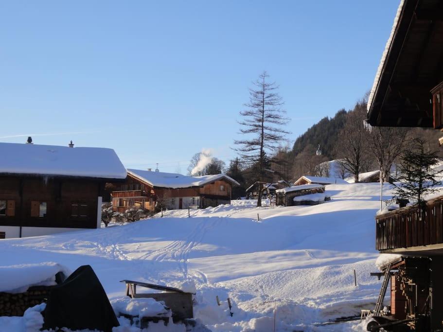 Chalet Engi Apt 1 For Up To 8 People Гриндельвальд Экстерьер фото